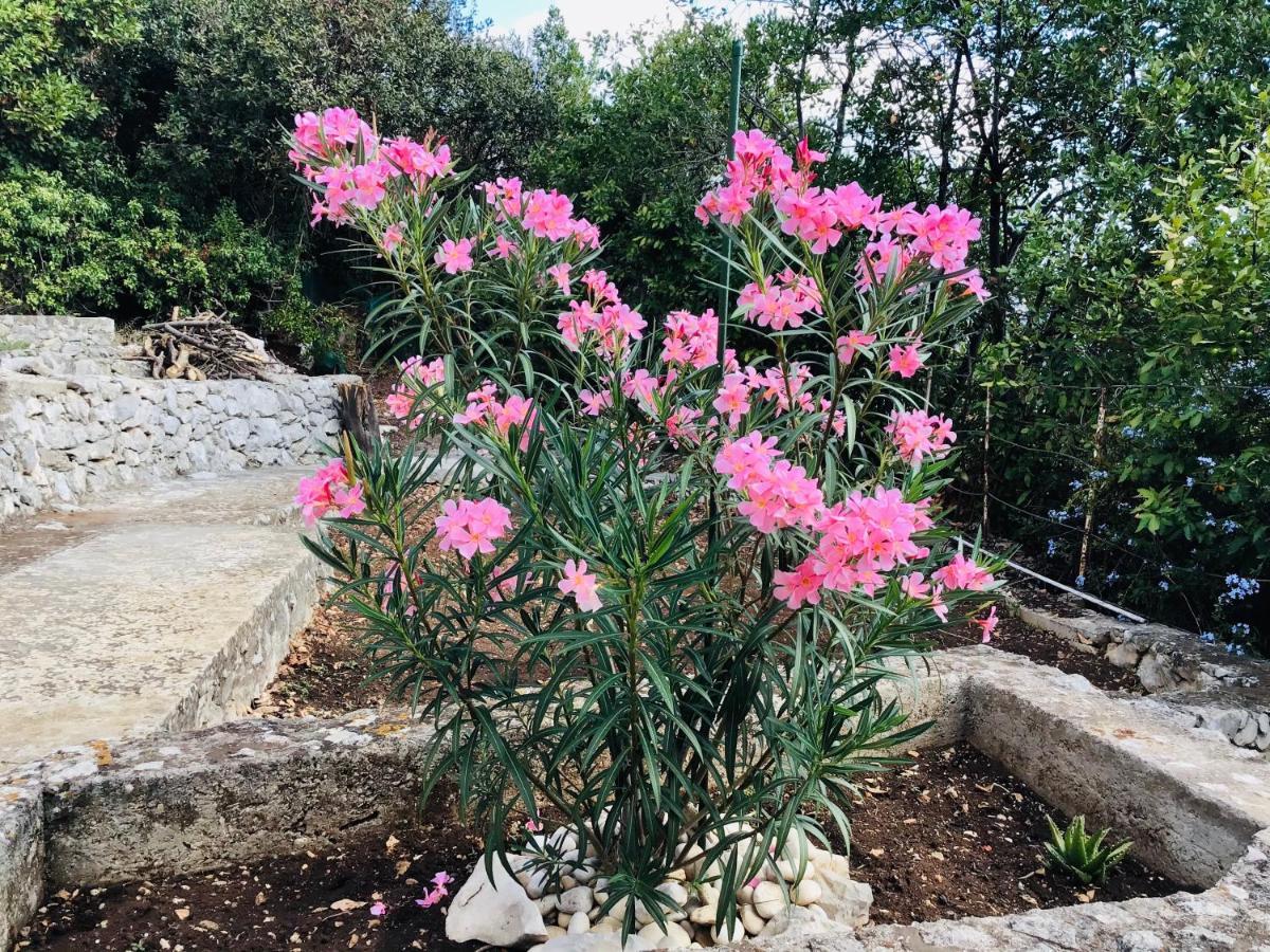 Lux Apartments Korčula Dış mekan fotoğraf