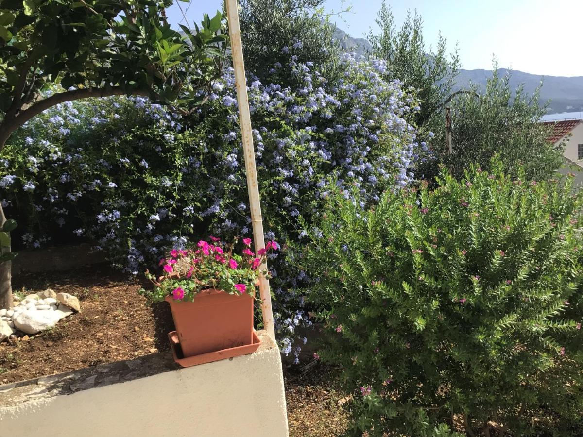 Lux Apartments Korčula Dış mekan fotoğraf