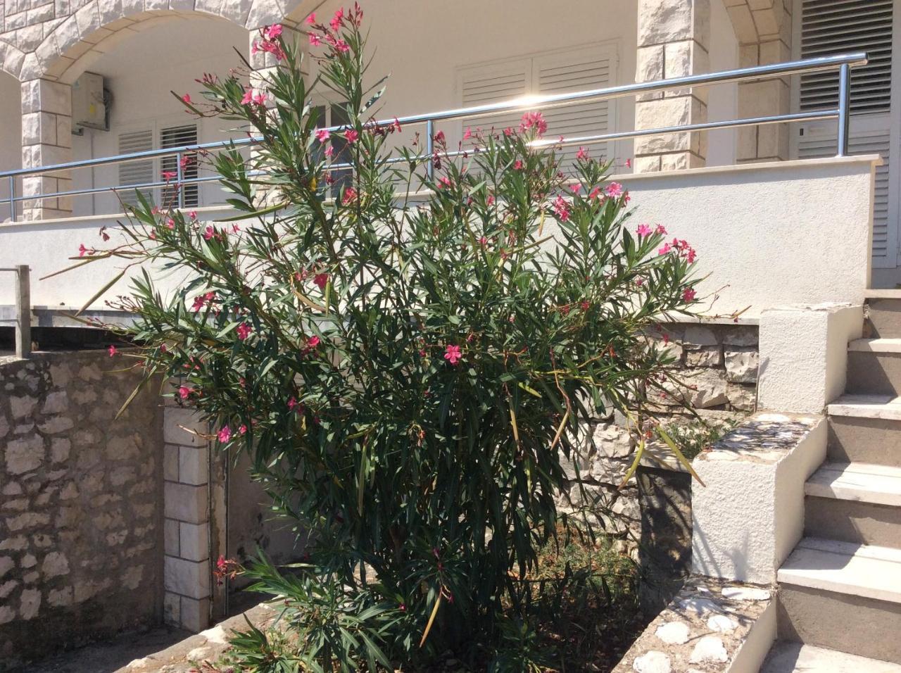 Lux Apartments Korčula Dış mekan fotoğraf